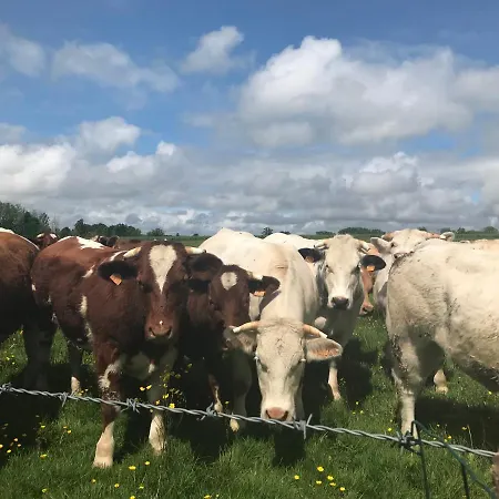 Couette-café La Corbonniere 3*