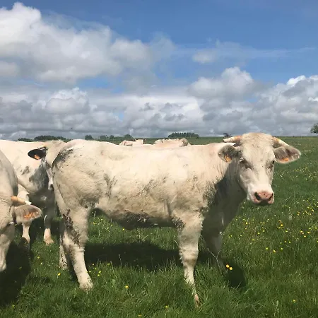 La Corbonniere Couette-café Geneslay