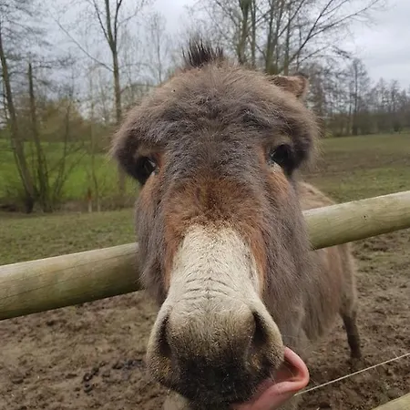 La Corbonniere Geneslay