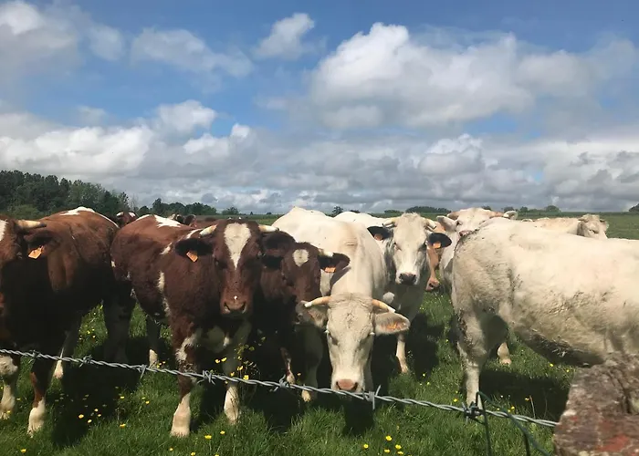 Couette-café La Corbonniere 3*