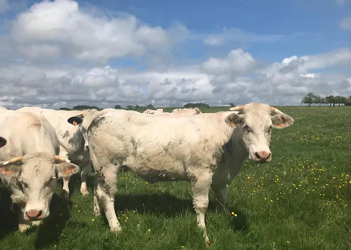 La Corbonniere Couette-café Geneslay