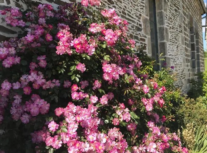 La Corbonniere 3* Geneslay