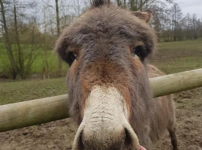La Corbonniere Geneslay